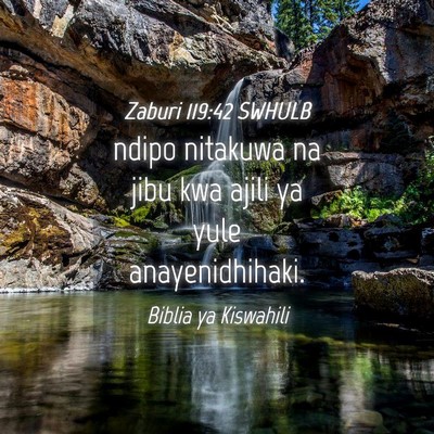 Picture 04 - Zaburi 119:42 SWHULB - ndipo nitakuwa na jibu kwa ajili ya yule - Bible Verse Picture