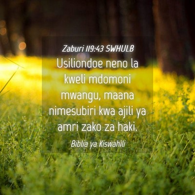 Picture 04 - Zaburi 119:43 SWHULB - Usiliondoe neno la kweli mdomoni mwangu, maana - Bible Verse Picture
