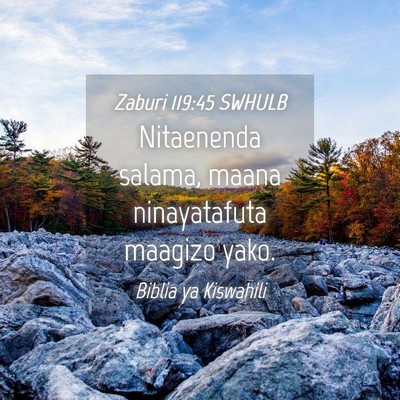 Picture 04 - Zaburi 119:45 SWHULB - Nitaenenda salama, maana ninayatafuta maagizo - Bible Verse Picture