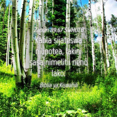 Picture 04 - Zaburi 119:67 SWHULB - Kabla sijateswa nilipotea, lakini sasa nimelitii - Bible Verse Picture