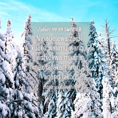 Picture 04 - Zaburi 119:99 SWHULB - Ninauelewa zaidi kuliko walimu wangu wote, kwa - Bible Verse Picture