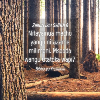 Picture 04 - Zaburi 121:1 SWHULB - Nitayainua macho yangu nitazame milimani. Msaada - Bible Verse Picture