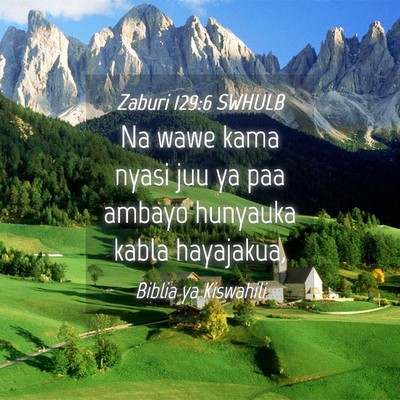 Picture 04 - Zaburi 129:6 SWHULB - Na wawe kama nyasi juu ya paa ambayo hunyauka - Bible Verse Picture