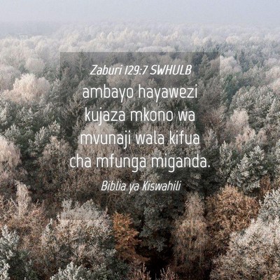 Picture 04 - Zaburi 129:7 SWHULB - ambayo hayawezi kujaza mkono wa mvunaji wala - Bible Verse Picture