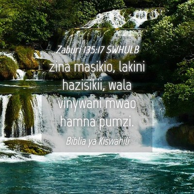 Picture 04 - Zaburi 135:17 SWHULB - zina masikio, lakini hazisikii, wala vinywani - Bible Verse Picture