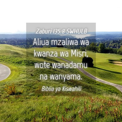 Picture 04 - Zaburi 135:8 SWHULB - Aliua mzaliwa wa kwanza wa Misri, wote wanadamu - Bible Verse Picture
