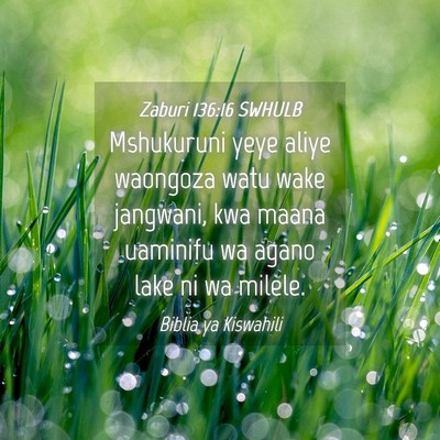 Picture 04 - Zaburi 136:16 SWHULB - Mshukuruni yeye aliye waongoza watu wake - Bible Verse Picture