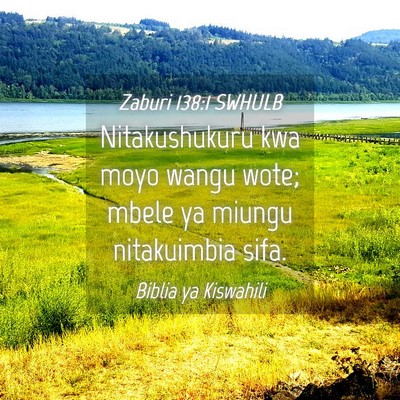 Picture 04 - Zaburi 138:1 SWHULB - Nitakushukuru kwa moyo wangu wote; mbele ya - Bible Verse Picture