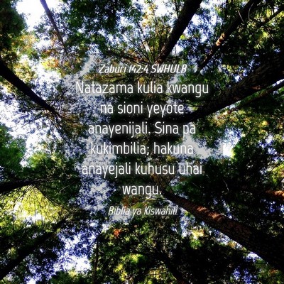 Picture 04 - Zaburi 142:4 SWHULB - Natazama kulia kwangu na sioni yeyote - Bible Verse Picture