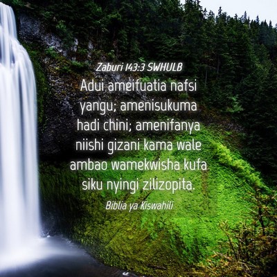 Picture 04 - Zaburi 143:3 SWHULB - Adui ameifuatia nafsi yangu; amenisukuma hadi - Bible Verse Picture