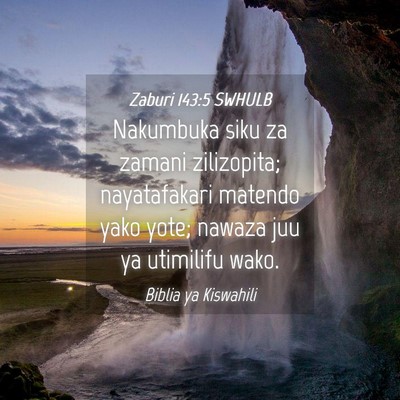 Picture 04 - Zaburi 143:5 SWHULB - Nakumbuka siku za zamani zilizopita; nayatafakari - Bible Verse Picture