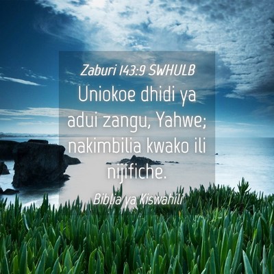 Picture 04 - Zaburi 143:9 SWHULB - Uniokoe dhidi ya adui zangu, Yahwe; nakimbilia - Bible Verse Picture