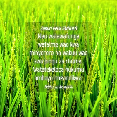 Picture 04 - Zaburi 149:8 SWHULB - Nao watawafunga wafalme wao kwa minyororo na - Bible Verse Picture