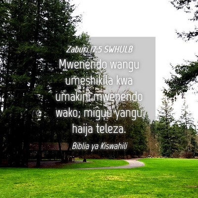 Picture 04 - Zaburi 17:5 SWHULB - Mwenendo wangu umeshikila kwa umakini mwenendo - Bible Verse Picture
