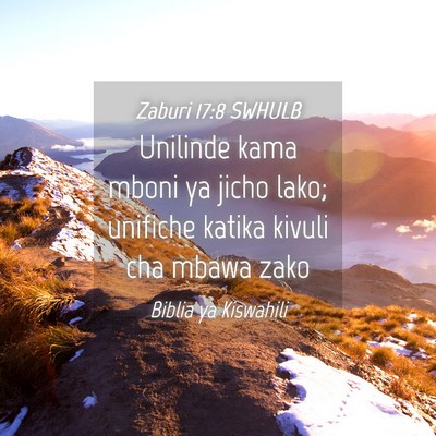 Picture 04 - Zaburi 17:8 SWHULB - Unilinde kama mboni ya jicho lako; unifiche - Bible Verse Picture