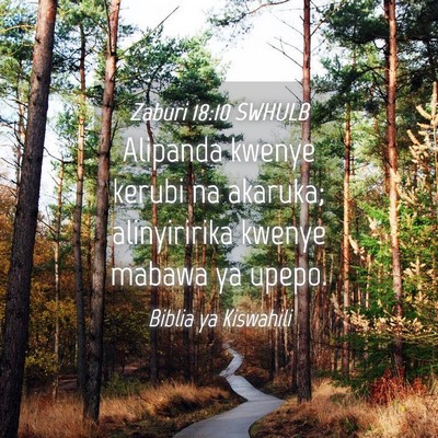 Picture 04 - Zaburi 18:10 SWHULB - Alipanda kwenye kerubi na akaruka; alinyiririka - Bible Verse Picture