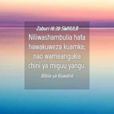 Picture 04 - Zaburi 18:38 SWHULB - Niliwashambulia hata hawakuweza kuamka; nao - Bible Verse Picture