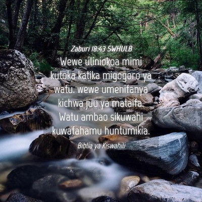 Picture 04 - Zaburi 18:43 SWHULB - Wewe uliniokoa mimi kutoka katika migogoro ya - Bible Verse Picture
