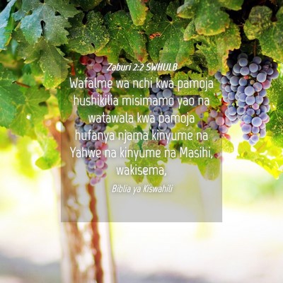 Picture 04 - Zaburi 2:2 SWHULB - Wafalme wa nchi kwa pamoja hushikilia misimamo - Bible Verse Picture