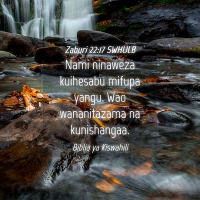 Picture 04 - Zaburi 22:17 SWHULB - Nami ninaweza kuihesabu mifupa yangu. Wao - Bible Verse Picture