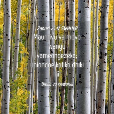 Picture 04 - Zaburi 25:17 SWHULB - Maumivu ya moyo wangu yameongezeka; uniondoe - Bible Verse Picture