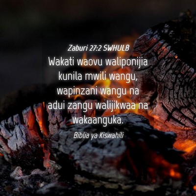 Picture 04 - Zaburi 27:2 SWHULB - Wakati waovu waliponijia kunila mwili wangu, - Bible Verse Picture