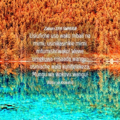 Picture 04 - Zaburi 27:9 SWHULB - Usiufiche uso wako mbali na mimi; usinikasirikie - Bible Verse Picture