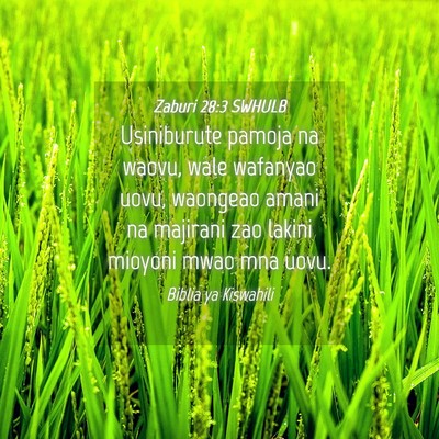Picture 04 - Zaburi 28:3 SWHULB - Usiniburute pamoja na waovu, wale wafanyao uovu, - Bible Verse Picture