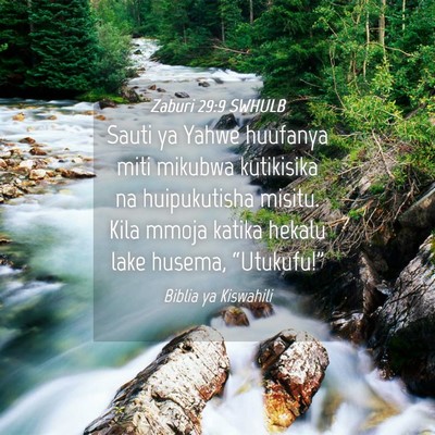 Picture 04 - Zaburi 29:9 SWHULB - Sauti ya Yahwe huufanya miti mikubwa kutikisika - Bible Verse Picture