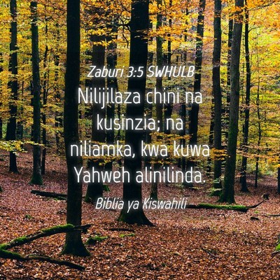 Picture 04 - Zaburi 3:5 SWHULB - Nilijilaza chini na kusinzia; na niliamka, kwa - Bible Verse Picture