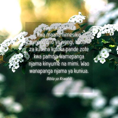 Picture 04 - Zaburi 31:13 SWHULB - Kwa maana nimesikia minong'ono ya wengi, habari - Bible Verse Picture