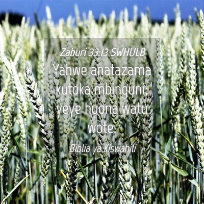 Picture 04 - Zaburi 33:13 SWHULB - Yahwe anatazama kutoka mbinguni; yeye huona watu - Bible Verse Picture