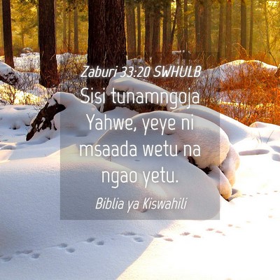 Picture 04 - Zaburi 33:20 SWHULB - Sisi tunamngoja Yahwe, yeye ni msaada wetu na - Bible Verse Picture