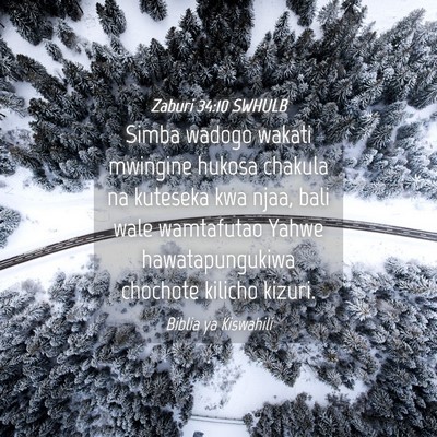 Picture 04 - Zaburi 34:10 SWHULB - Simba wadogo wakati mwingine hukosa chakula na - Bible Verse Picture