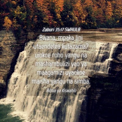 Picture 04 - Zaburi 35:17 SWHULB - Bwana, mpaka lini utaendelea kutazama? uiokoe - Bible Verse Picture