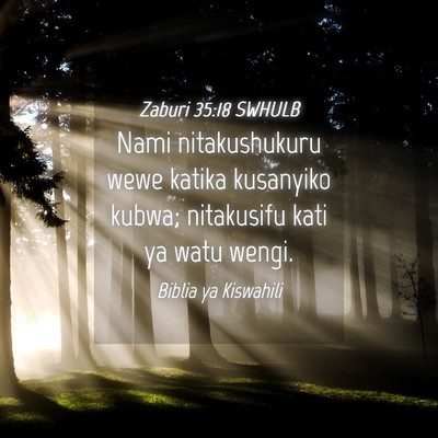 Picture 04 - Zaburi 35:18 SWHULB - Nami nitakushukuru wewe katika kusanyiko kubwa; - Bible Verse Picture