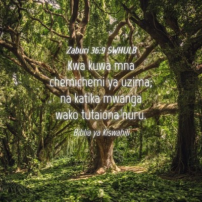 Picture 04 - Zaburi 36:9 SWHULB - Kwa kuwa mna chemichemi ya uzima; na katika - Bible Verse Picture