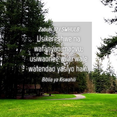 Picture 04 - Zaburi 37:1 SWHULB - Usikereshwe na wafanyao maovu; usiwaonee wivu - Bible Verse Picture