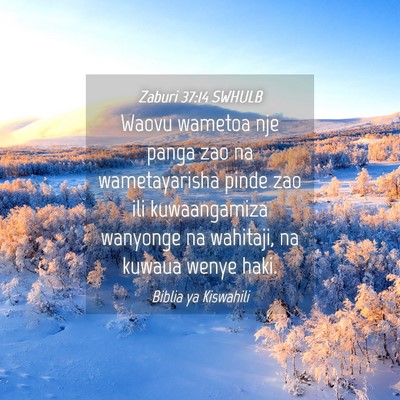 Picture 04 - Zaburi 37:14 SWHULB - Waovu wametoa nje panga zao na wametayarisha - Bible Verse Picture