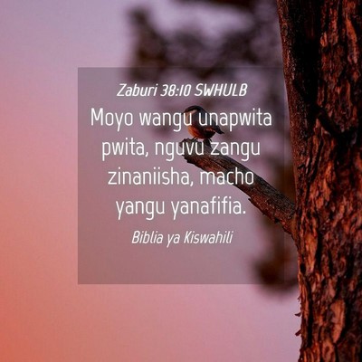 Picture 04 - Zaburi 38:10 SWHULB - Moyo wangu unapwita pwita, nguvu zangu - Bible Verse Picture