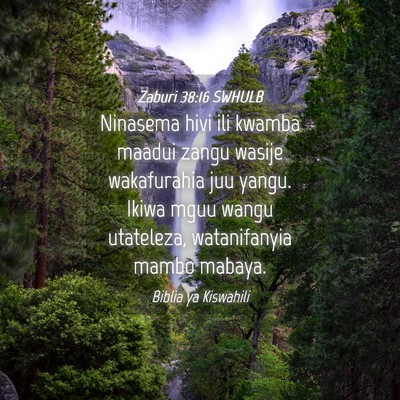 Picture 04 - Zaburi 38:16 SWHULB - Ninasema hivi ili kwamba maadui zangu wasije - Bible Verse Picture