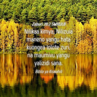 Picture 04 - Zaburi 39:2 SWHULB - Nilikaa kimya; Nilizuia maneno yangu hata kuongea - Bible Verse Picture