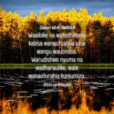 Picture 04 - Zaburi 40:14 SWHULB - Waaibike na wafedheheke kabisa wanaufuatilia uhai - Bible Verse Picture