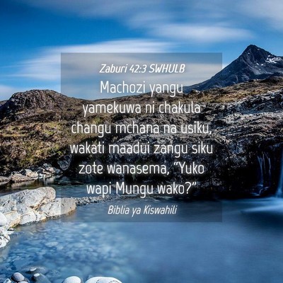 Picture 04 - Zaburi 42:3 SWHULB - Machozi yangu yamekuwa ni chakula changu mchana - Bible Verse Picture