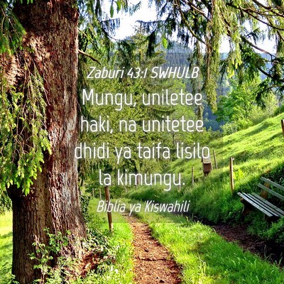 Picture 04 - Zaburi 43:1 SWHULB - Mungu, uniletee haki, na unitetee dhidi ya taifa - Bible Verse Picture