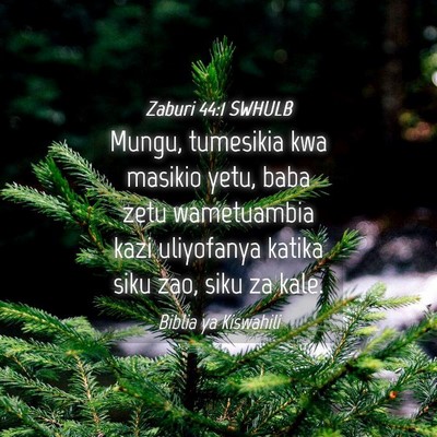 Picture 04 - Zaburi 44:1 SWHULB - Mungu, tumesikia kwa masikio yetu, baba zetu - Bible Verse Picture