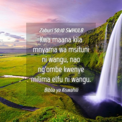 Picture 04 - Zaburi 50:10 SWHULB - Kwa maana kila mnyama wa msituni ni wangu, nao - Bible Verse Picture