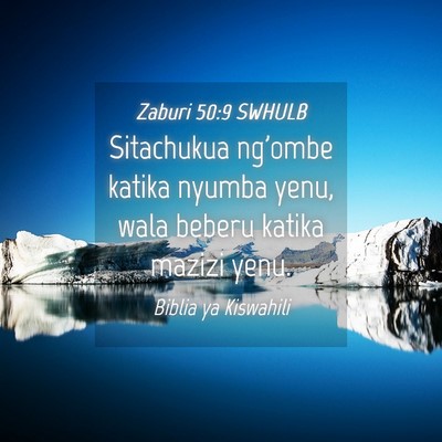 Picture 04 - Zaburi 50:9 SWHULB - Sitachukua ng'ombe katika nyumba yenu, wala - Bible Verse Picture
