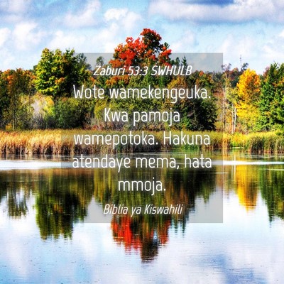 Picture 04 - Zaburi 53:3 SWHULB - Wote wamekengeuka. Kwa pamoja wamepotoka. Hakuna - Bible Verse Picture