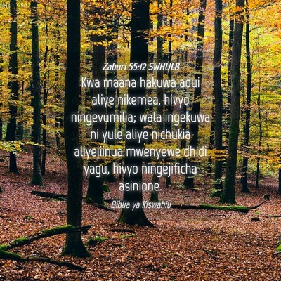 Picture 04 - Zaburi 55:12 SWHULB - Kwa maana hakuwa adui aliye nikemea, hivyo - Bible Verse Picture